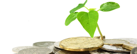 Article : Haiti.- Des outils économiques au service de l&rsquo;environnement